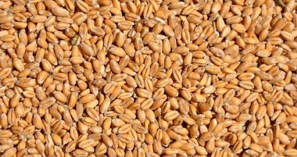 Dopłaty Z Tytułu Zużytego Si...