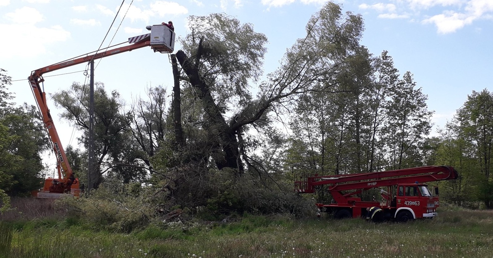 Wycinka drzew w miejscowości Holendry [ZDJĘCIA]