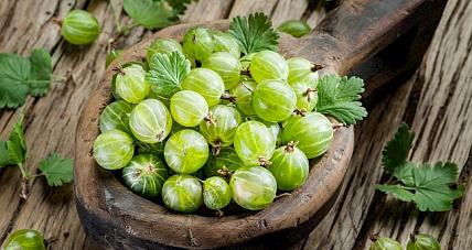 Czy Agrest Ma Dużo Kalorii? ...