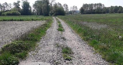 Bieżące Utrzymanie Dróg Gr...