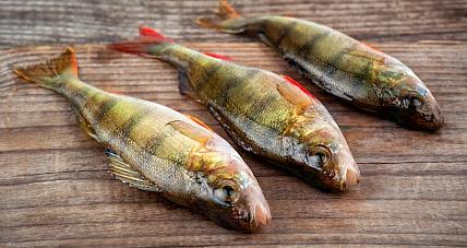 Sprawdzamy Wartość Energetyczną Ok...