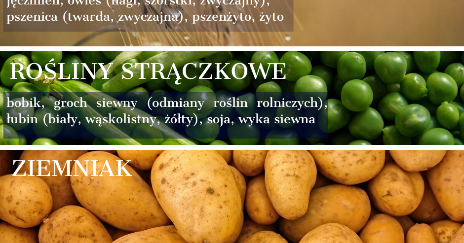 Materiał siewny 2020: finał naboru wniosków