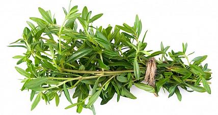 Ile Kalorii Jest W Cząbrze? ...