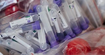 Gostyniński Sanepid: Ciągły Wz...