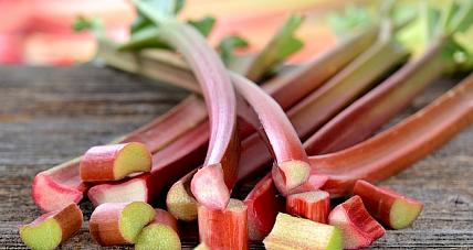 Czy Rabarbar Ma Dużo Kalorii? ...