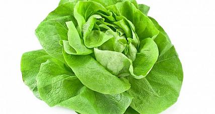 Kalorie W Sałacie. Sprawdziliśmy I...