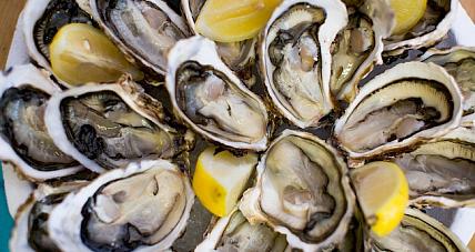 Sprawdzamy Wartość Energetyczną Os...