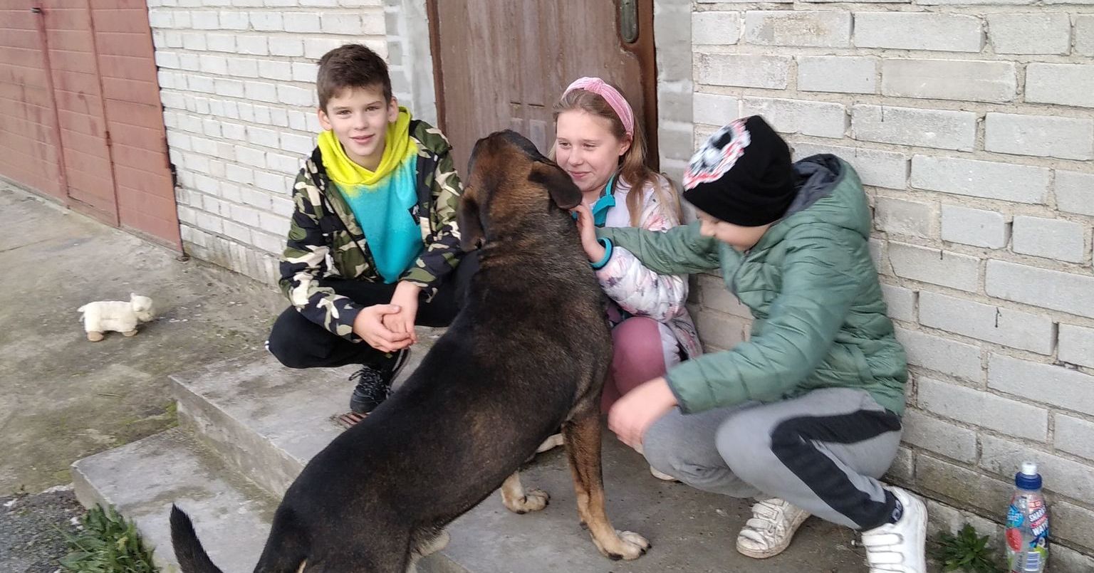 Piesek z Józefkowa pod dobrą opieką