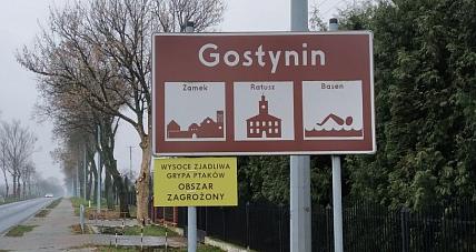 Gostynin W Obszarze Zagrożonym ...