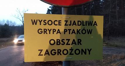 Część Gminy W Obszarze Za...