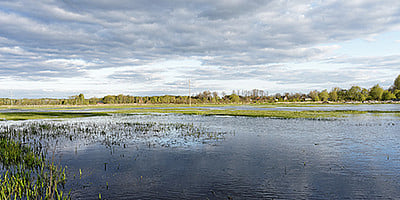 Dofinansowanie inwestycji chroniących przed ASF lub powodziąi