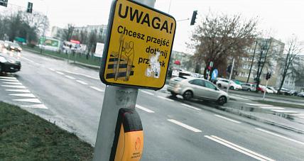 Podsumowanie Działań ?niechronieni Uc...