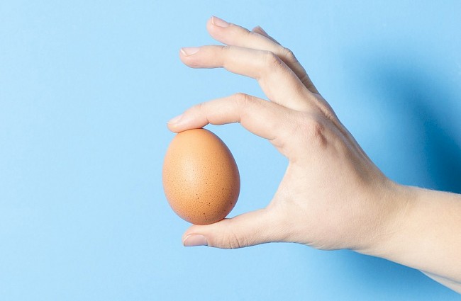 Sprawdzamy wartość energetyczną jajka. Sprawdź ile ma kalorii 