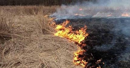 Przyszło Wiosna, A Z Nią W...