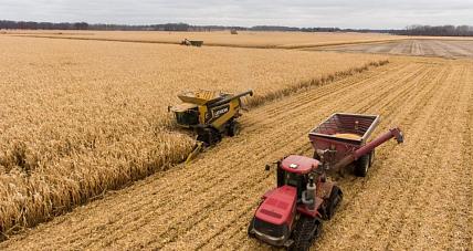 Nawet 100 Tys. Euro Rocznie...