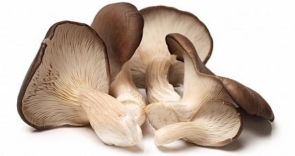  Ile Kalorii Ma Boczniak?...