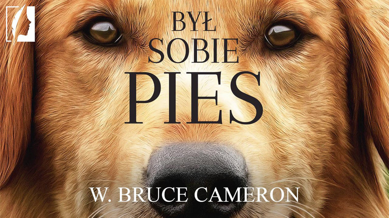 To już dziś. "Był sobie pies" w kinie plenerowym na terenie LO w Gostyninie