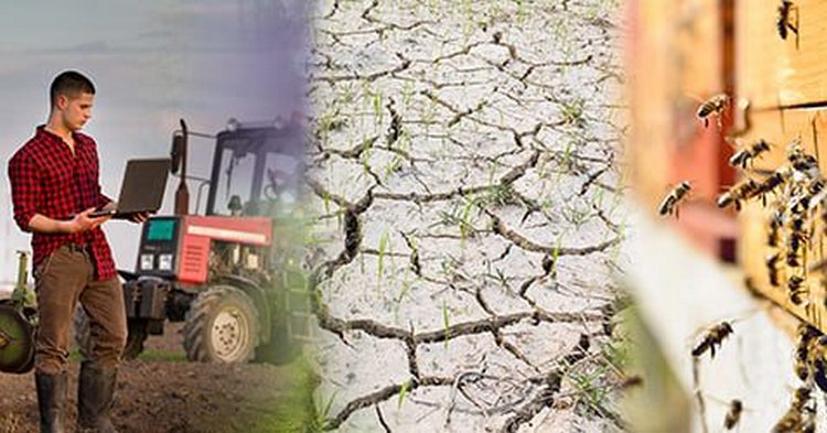 30 czerwca ostatnim dniem składania wniosków w 4 naborach o przyznanie pomocy finansowej