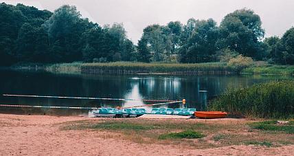 Jest Decyzja Sanepidu W Sprawie...