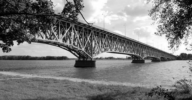 Z Wisły wyłowiono ciało Starosty Płockiego