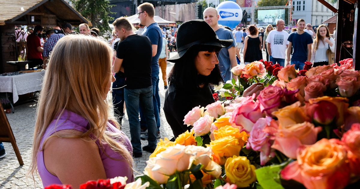 W Kutnie rozpoczęło się 47. Święto Róży