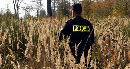 Wycieńczony 73-latek Błądził W L...