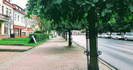 Aleja Gwiazd W Gostyninie