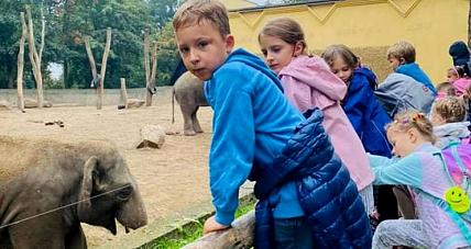 Wycieczka Pierwszaków Do ...