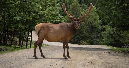 Jesień W Pełni - Uważajmy Na...