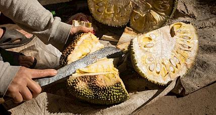 Porównujemy Wartości Odżywacze Dż...