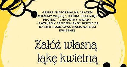 Stwórz Własną łąkę Kwietną!