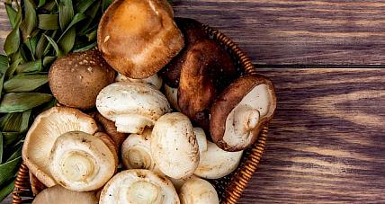  Ile Kalorii Ma Grzyb W Porównaniu ...