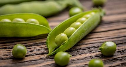 Kalorie W Groszku Na Tle Innych...