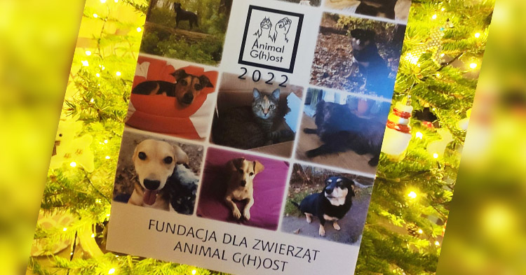 Szukasz kalendarza na 2022 rok? Prawdziwy hit od Animal Ghost