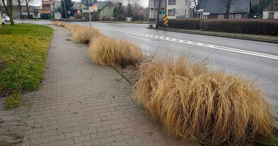 Wystawa peruk Marka Suskiego w Gostyninie