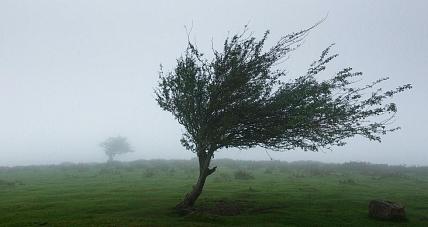 Nadciąga Wichura Nadia. Ostrzeżenie P...