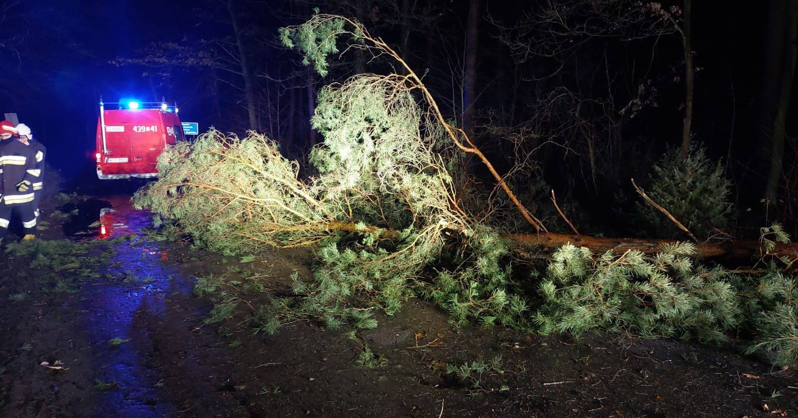 26 interwencji. Strażacy podsumowują weekendowe wichury