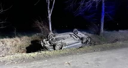 Dachowanie W Zwoleniu. Młody ...