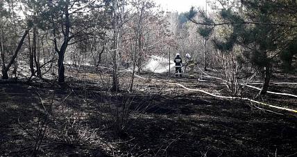Pożar Nieużytków W Gorzewie [z...