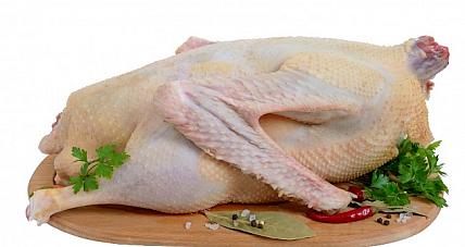 Kalorie W Gęsinie Na Tle ...