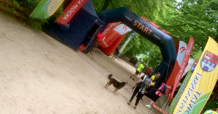 503 zawodników w 8. Rykowisko Ultra Trail