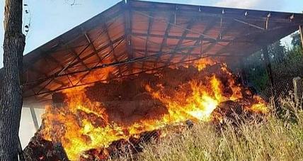 Podziękowania Dla Druhów Z...