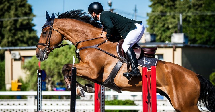 W Łącku trwają Mistrzostwa Polski Młodych Koni w skokach przez przeszkody