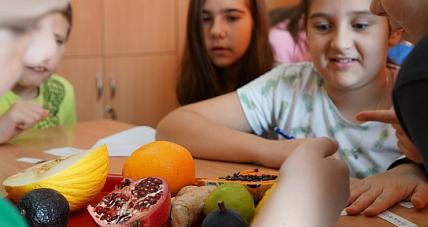 Warsztaty O Zdrowym Odżywianiu ...