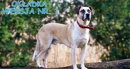 Gratka Dla Miłośników Zwierząt. Kal...