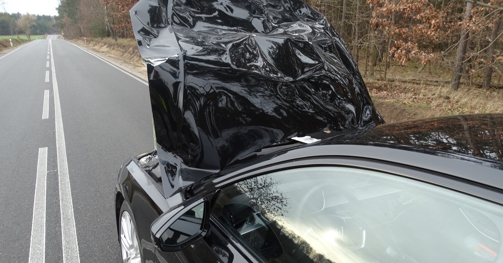 Jeleń wtargnął na drogę i zderzył się z audi [ZDJĘCIA]