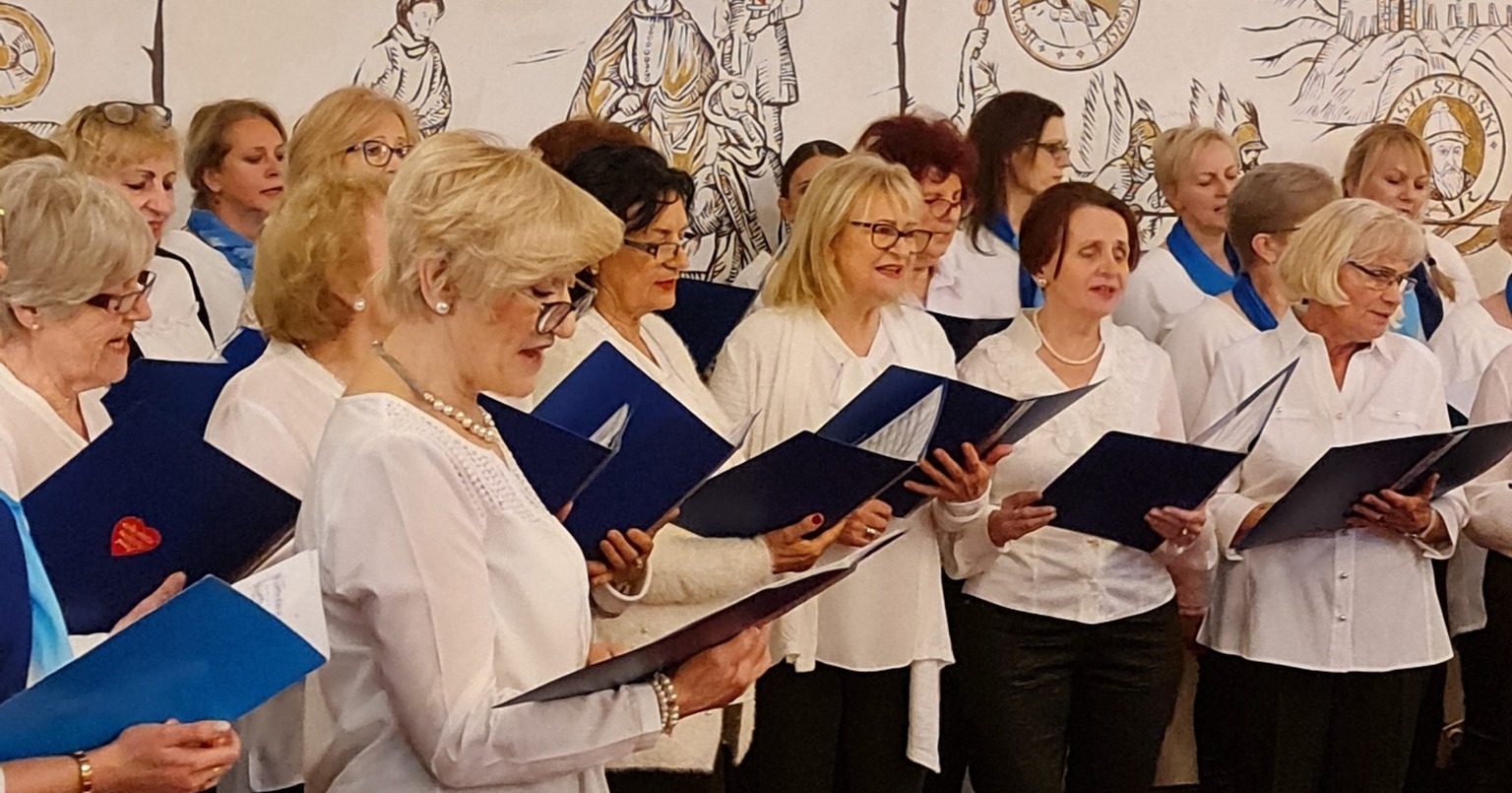 Muzyka filmowa zagościła w Zamku Gostynińskim [ZDJĘCIA]