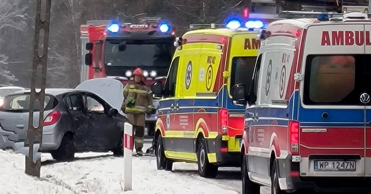 Minął tydzień: wilki w lasach, wypadek w Mościskach i występ Wojciecha Gąssowskiego