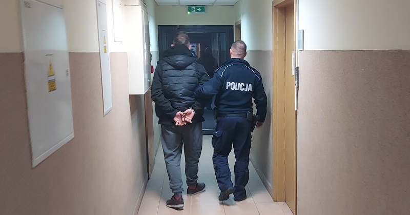 Zatrzymany podpalacz altanek
