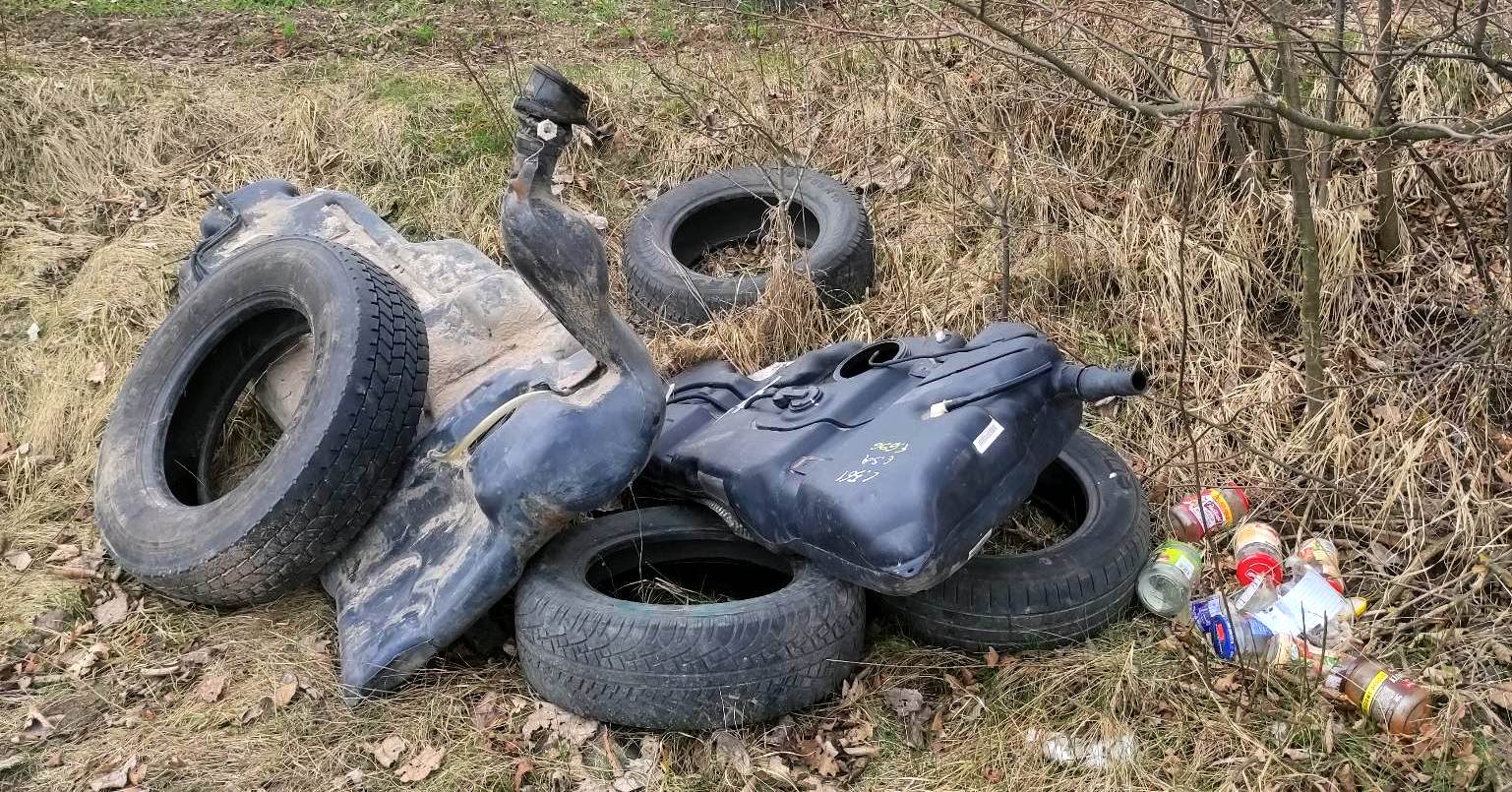 Fotopułapki na drogach powiatowych